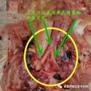 全國多地呼吸道又頻發(fā)？（雨天較多易感染）!